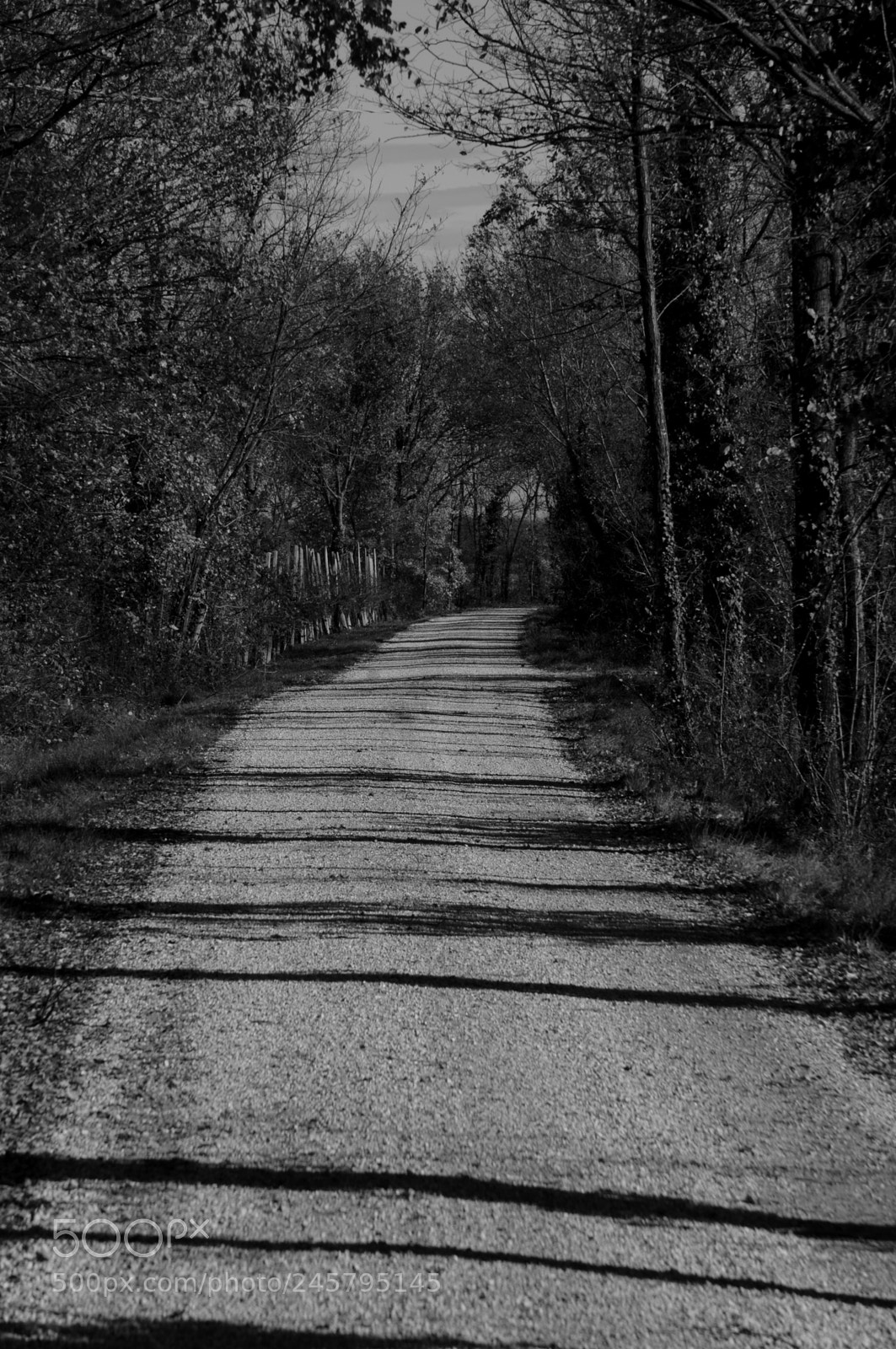 Sony Alpha NEX-F3 sample photo. (black and) white road photography