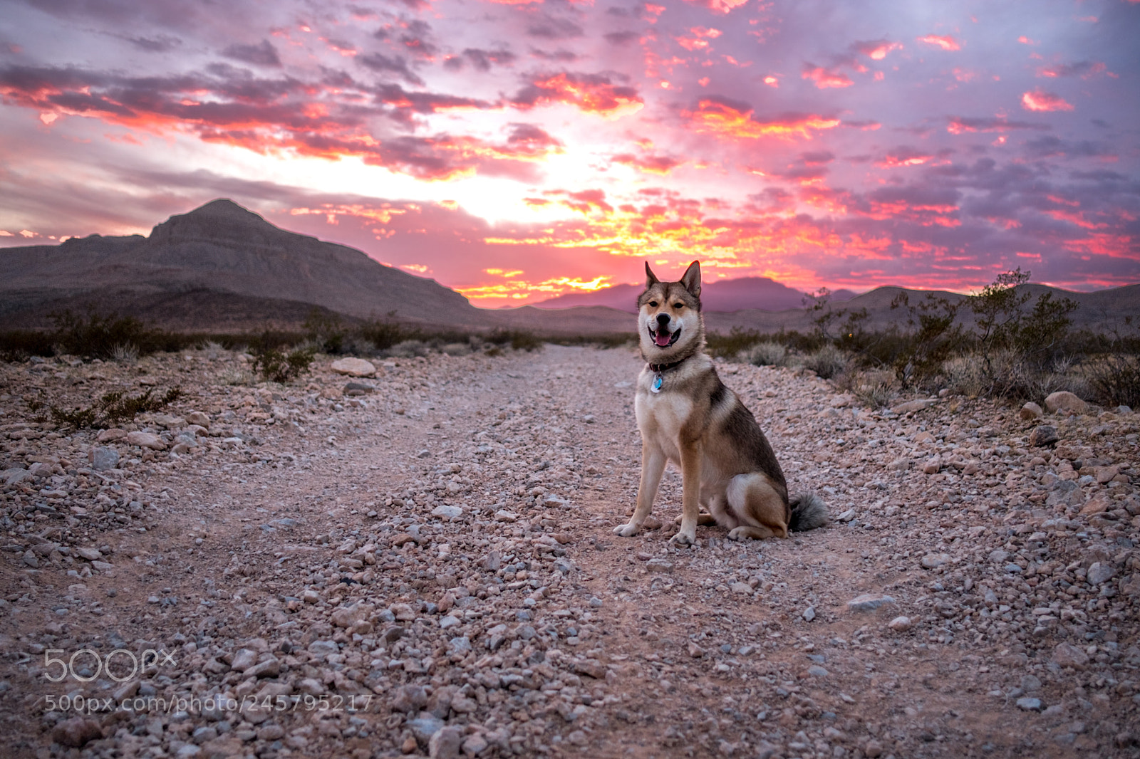 Fujifilm X-T2 sample photo. Sunset walk las vegas photography