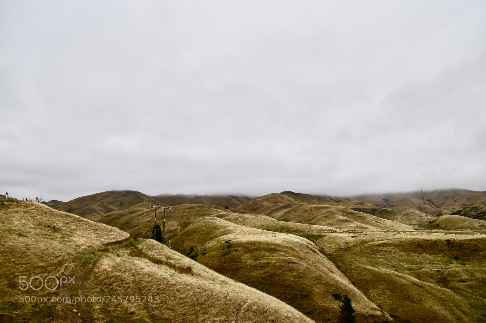 Nikon D5600 sample photo. Blenheim photography