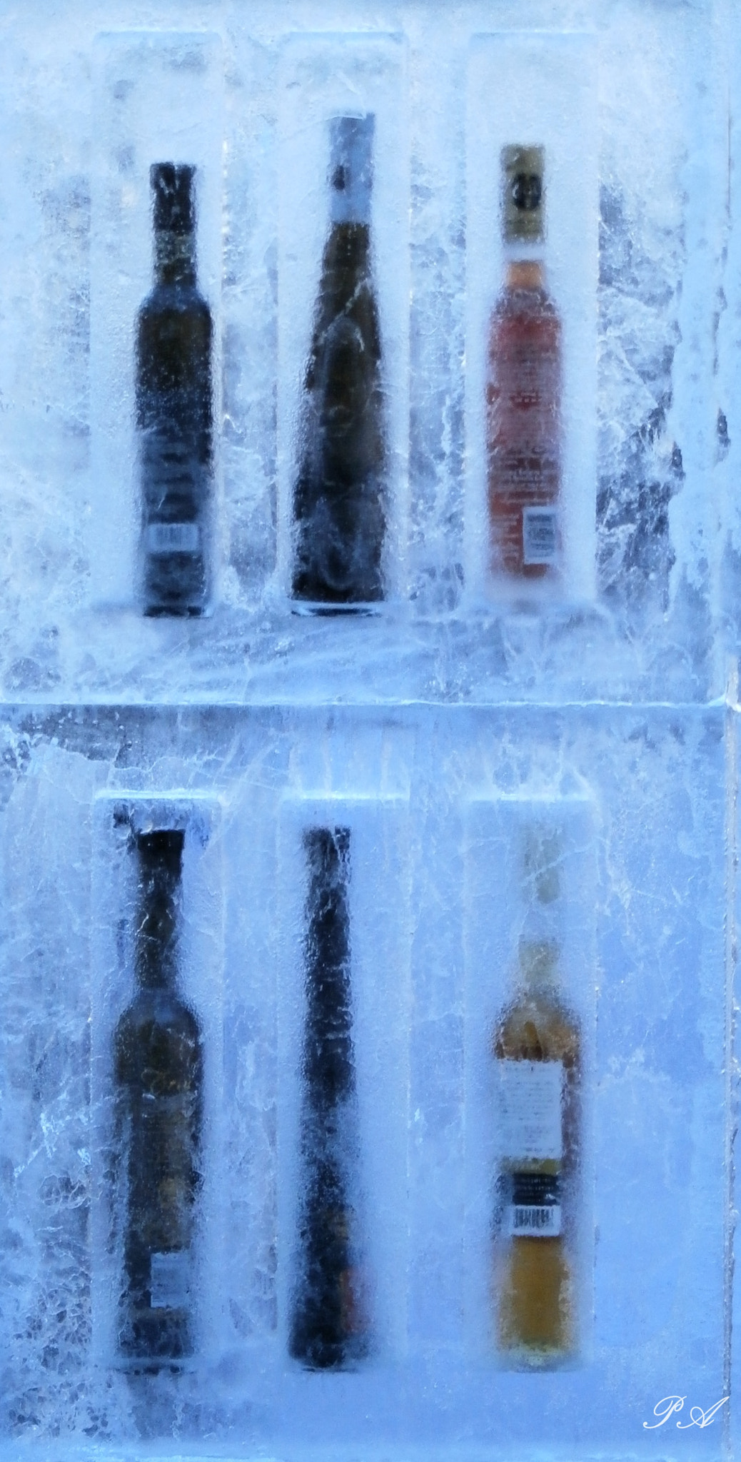 Olympus SZ-15,DZ-100 sample photo. Ice wine photography