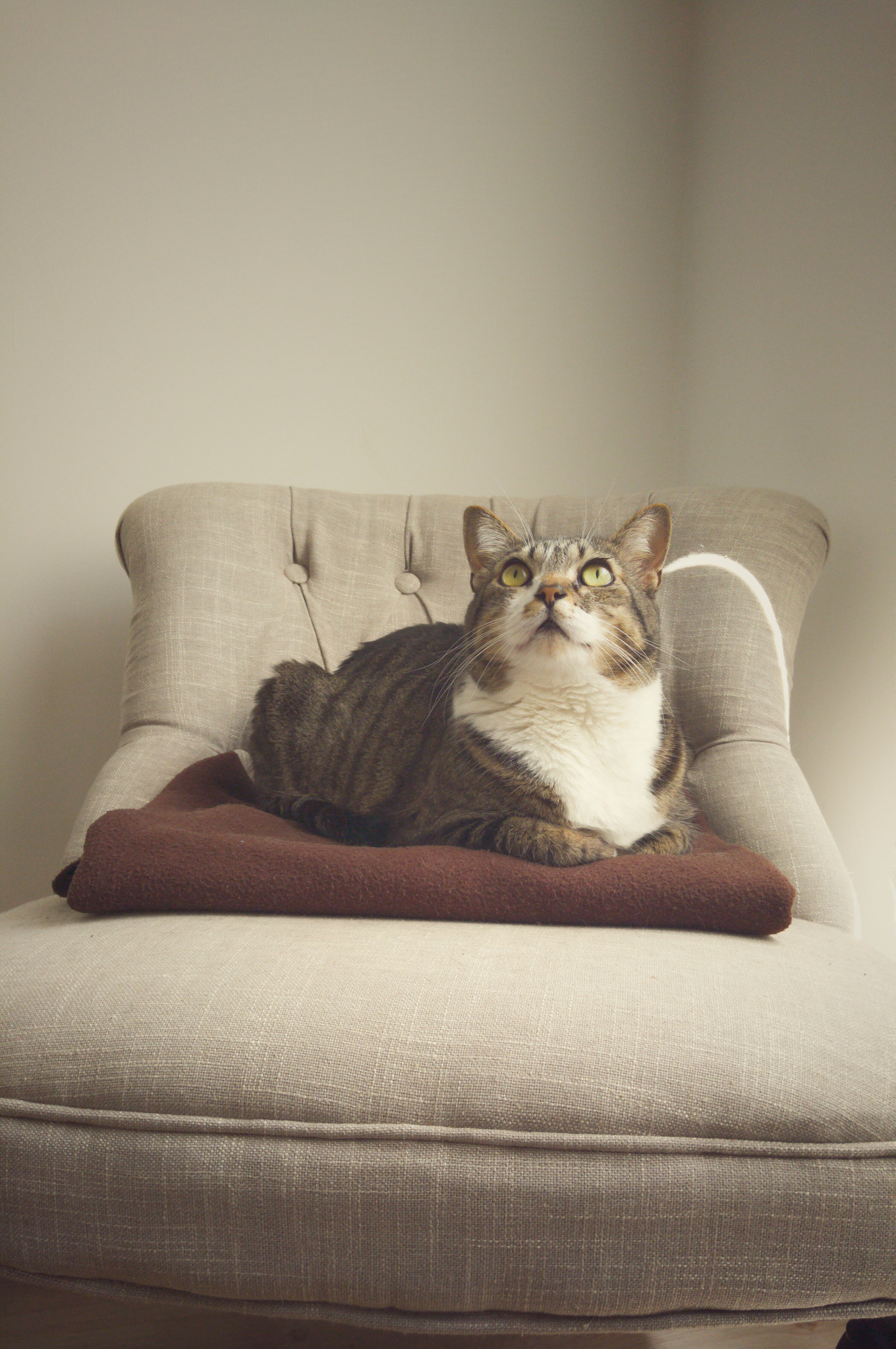 LG V10 sample photo