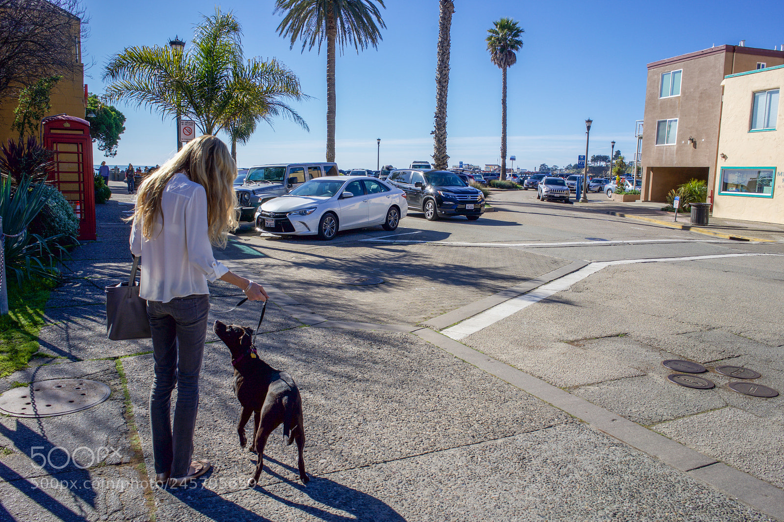 Sony a7 sample photo. Capitola, ca jan. 2018 photography