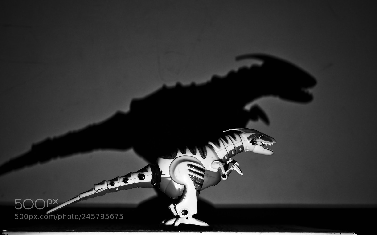 Nikon D5600 sample photo. T-rex photography