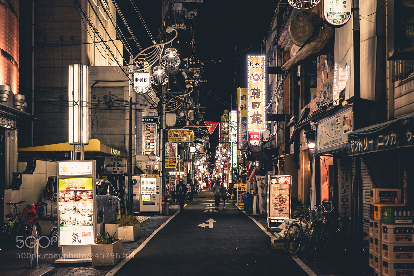 Sony a7 II sample photo. Japanese style 01 photography