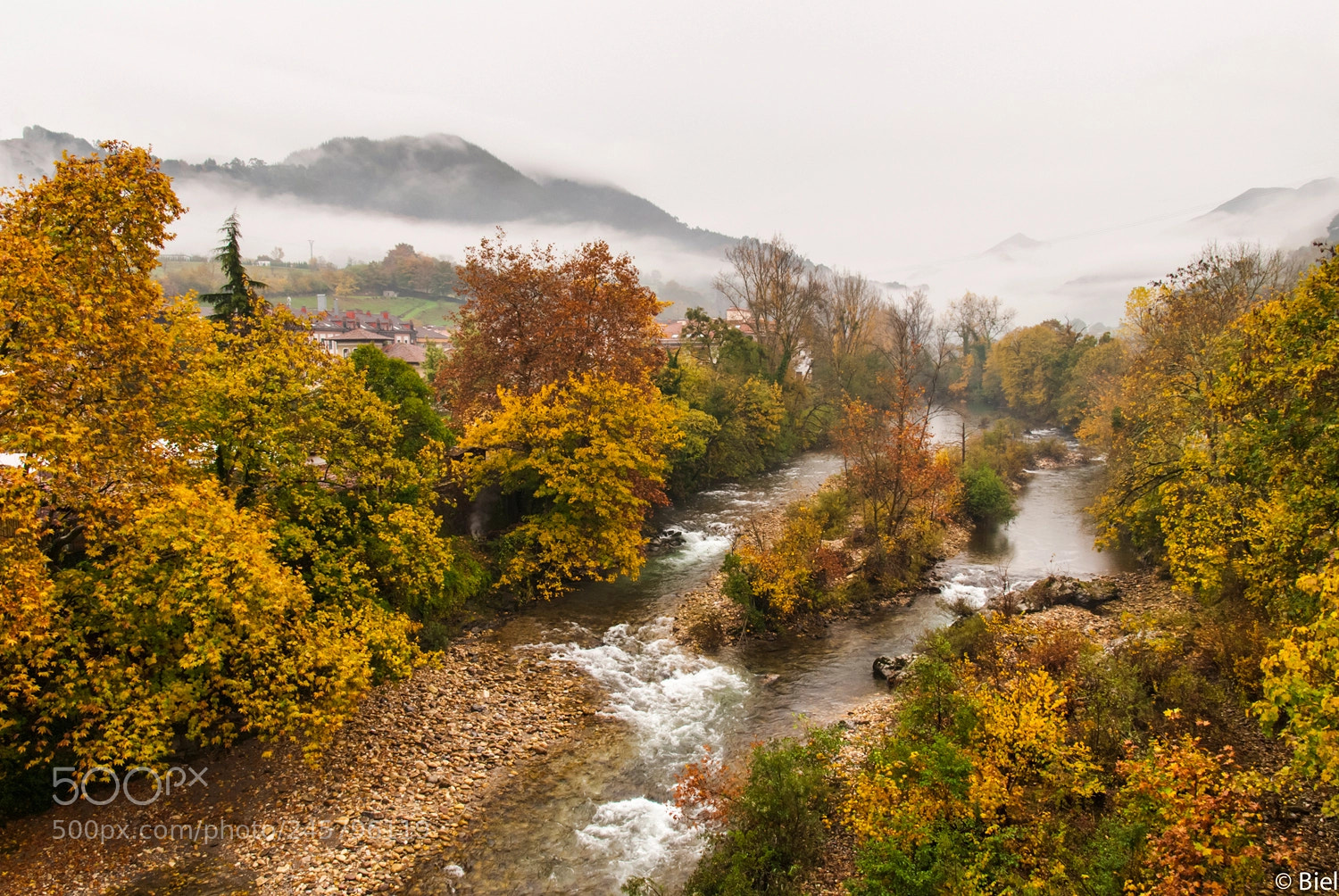 Nikon D80 sample photo. Autumn memories photography