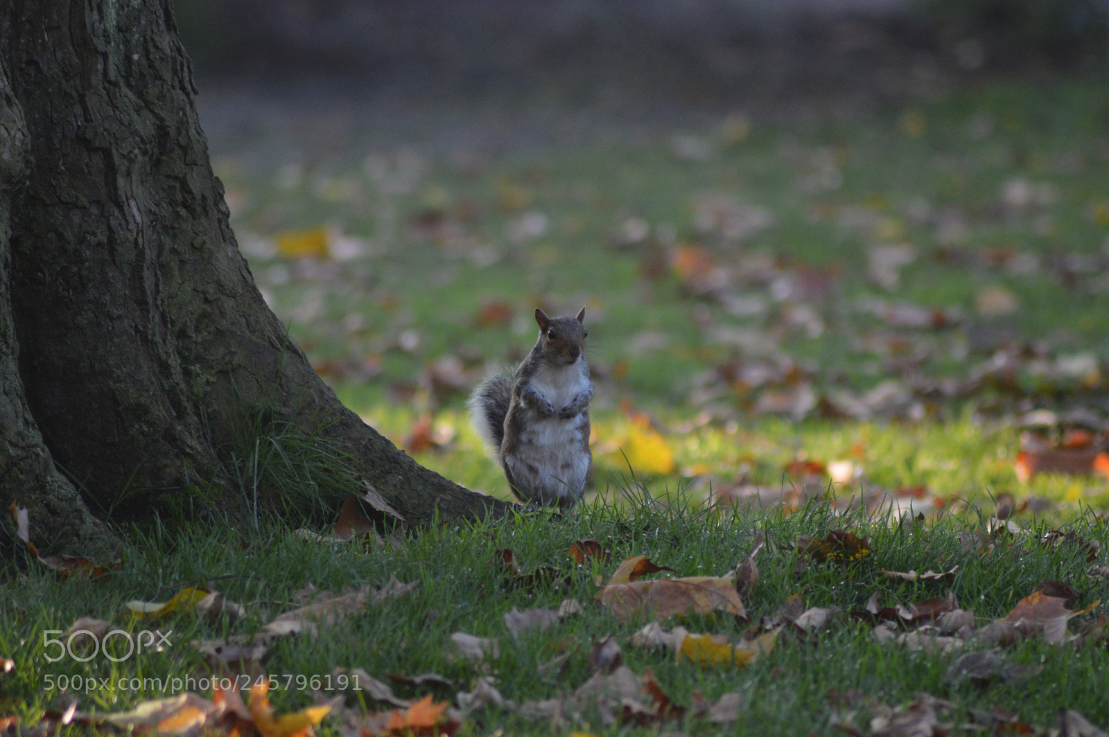 Nikon D3200 sample photo. Untitled photography