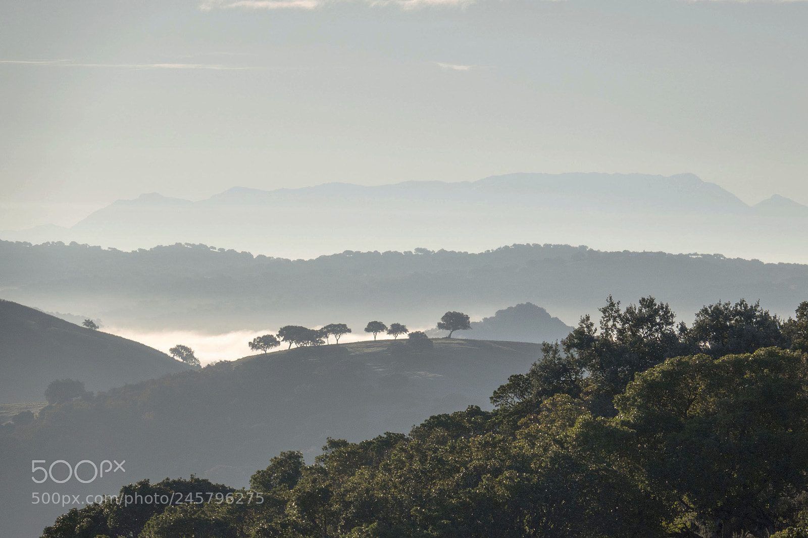 Sony Cyber-shot DSC-RX10 IV sample photo. Sierra de andujar photography