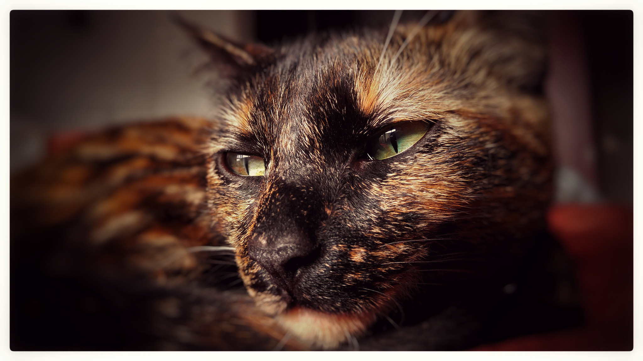LG V10 sample photo
