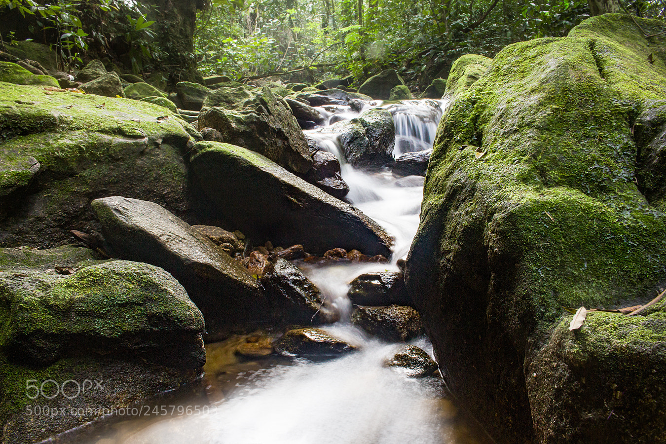 Canon EOS 700D (EOS Rebel T5i / EOS Kiss X7i) sample photo. Water and green photography