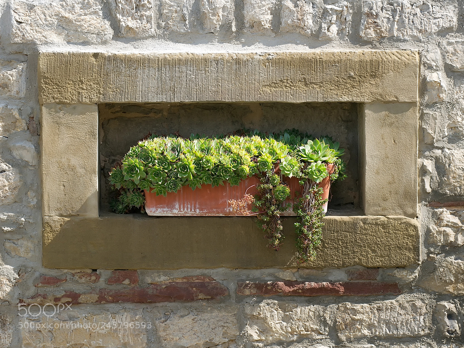 Panasonic DMC-G70 sample photo. Stone wall photography