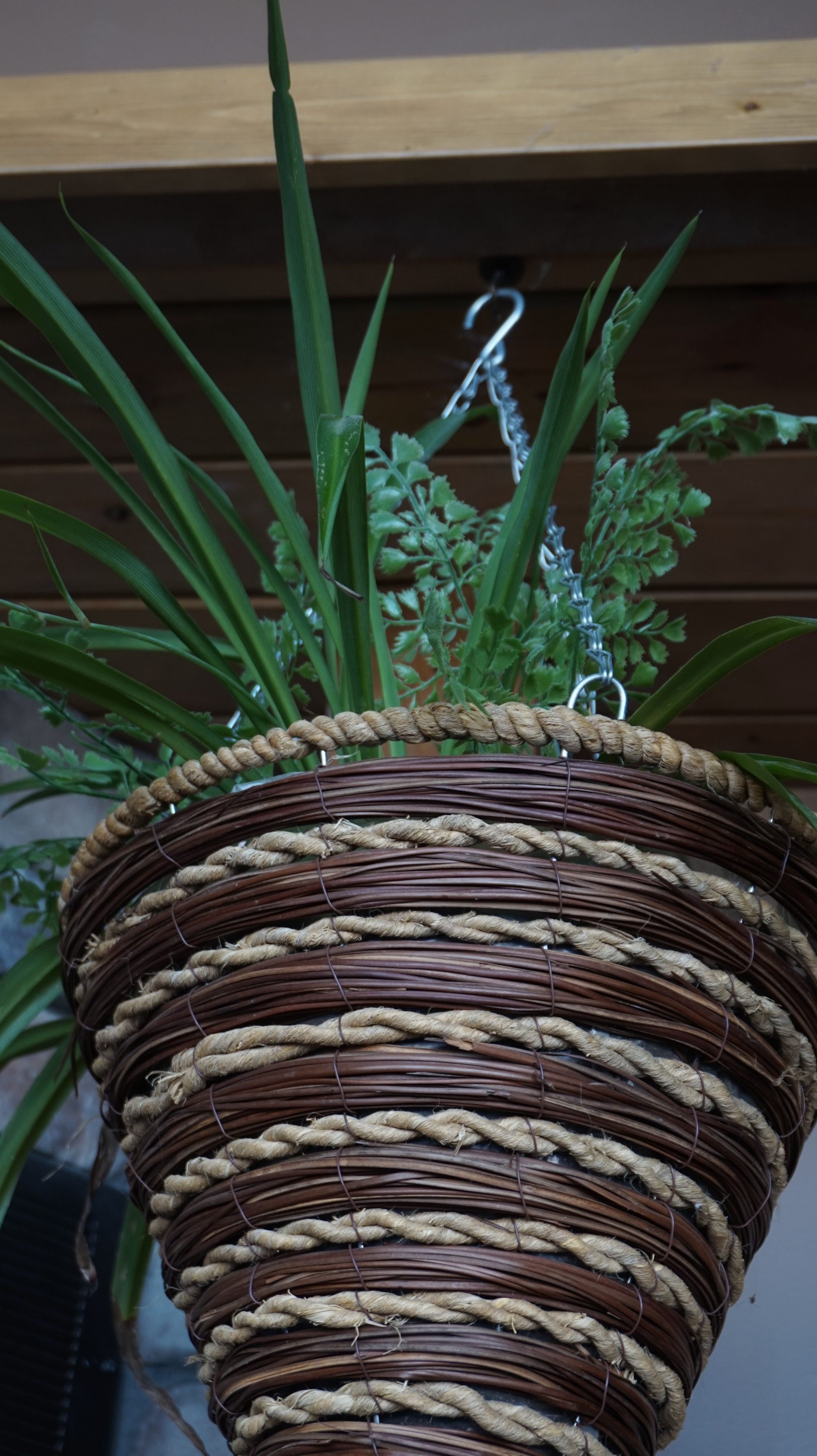 Sony Alpha a5000 (ILCE 5000) + Sony E 18-50mm F4-5.6 sample photo. Wild grass and flowers in hanging pot photography
