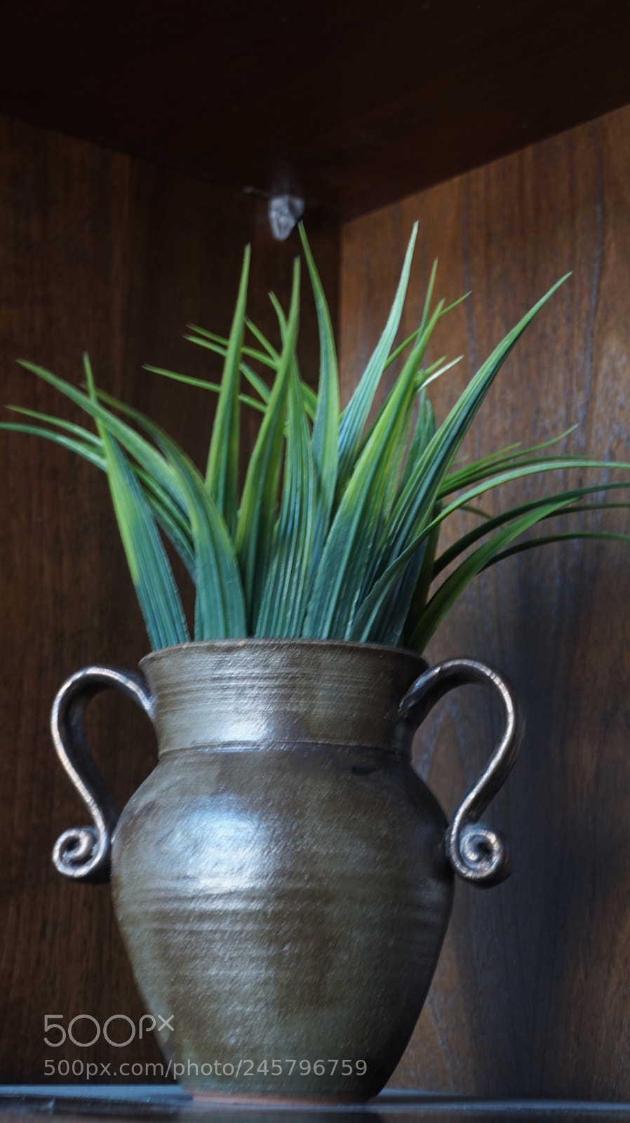 Sony Alpha a5000 (ILCE 5000) sample photo. Wild grass in pottery photography