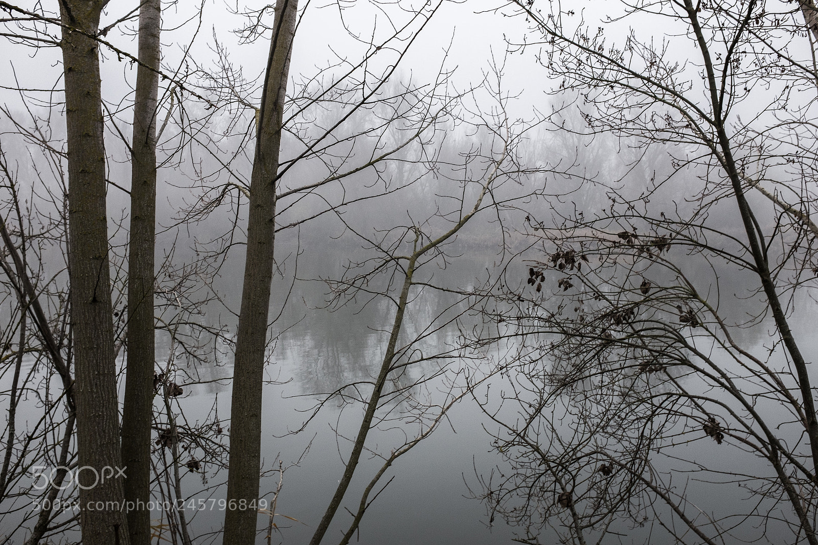 Fujifilm X100T sample photo. Transparencia plana photography