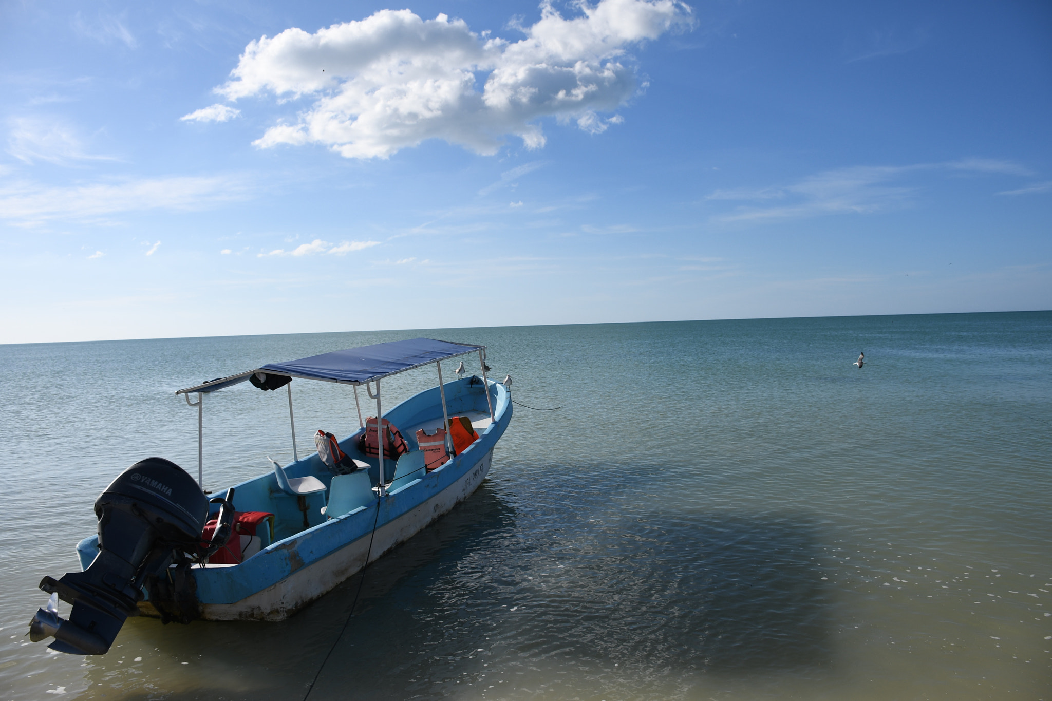 Nikon D7500 sample photo. Aguas tranquilas photography