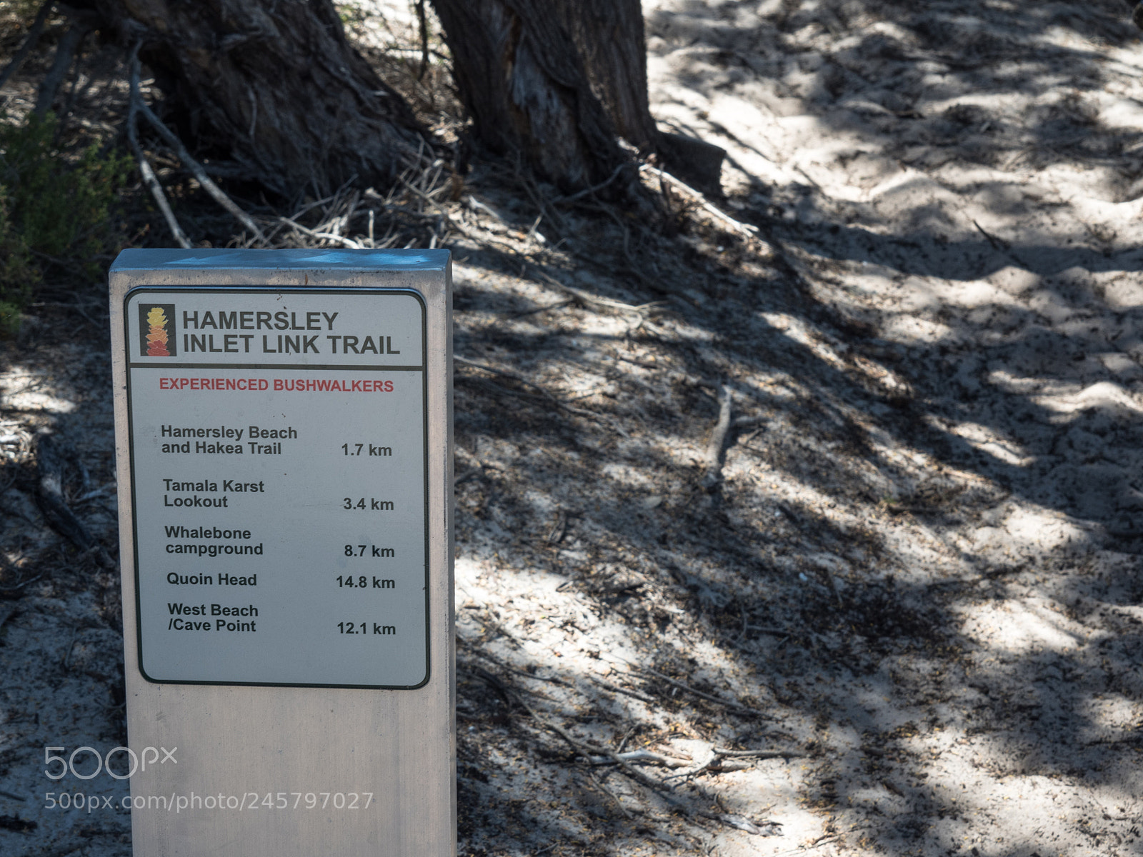 Olympus OM-D E-M5 II sample photo. Hamersley inlet link trail photography