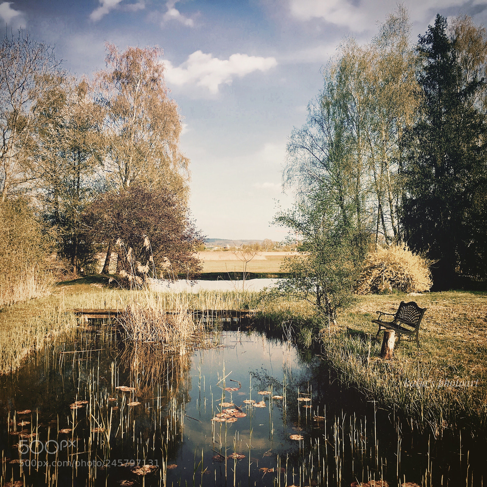 Apple iPhone 6s Plus sample photo. Mystical place photography