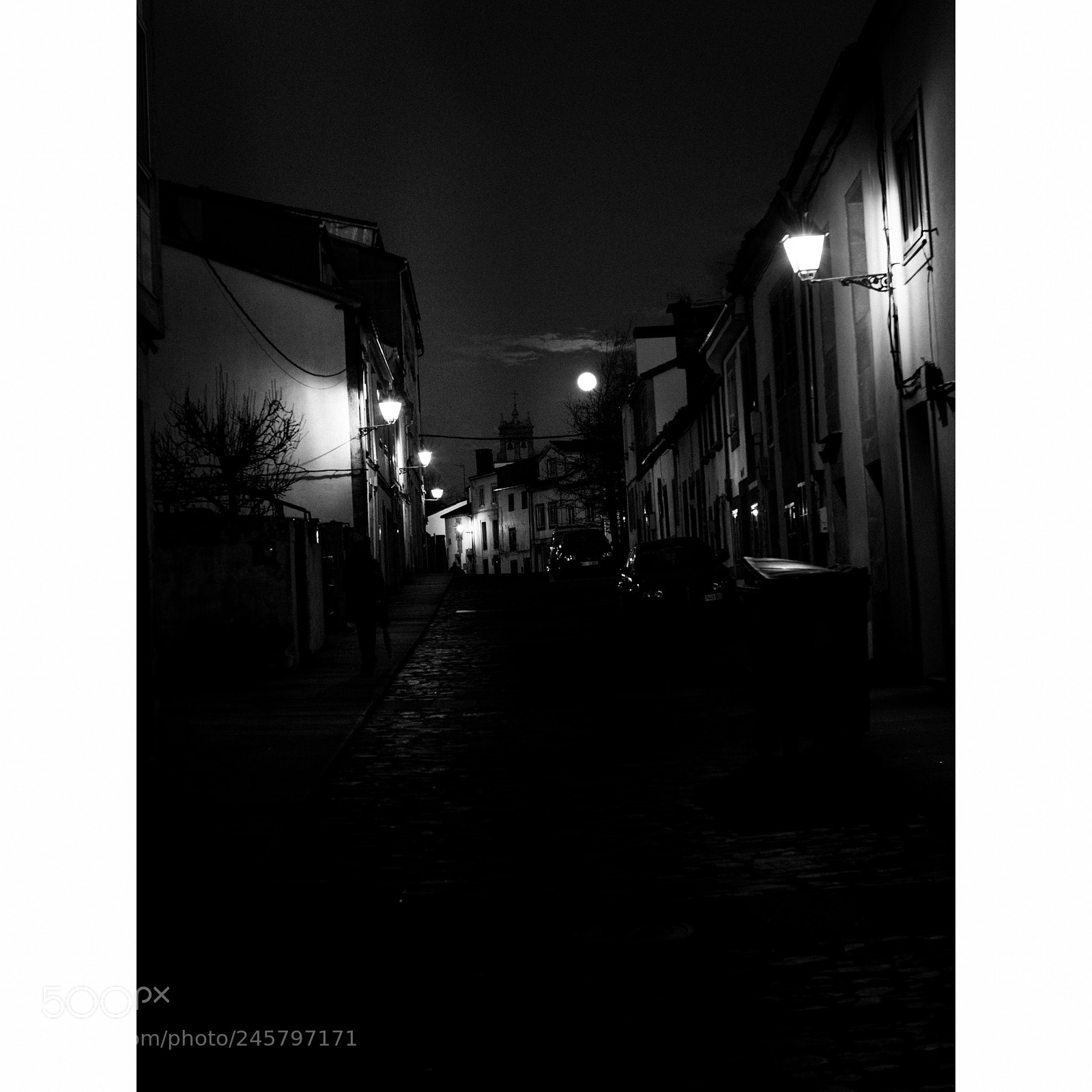 Nikon D810 sample photo. Santiago photography