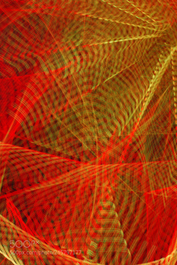 Nikon D60 sample photo. Td photography