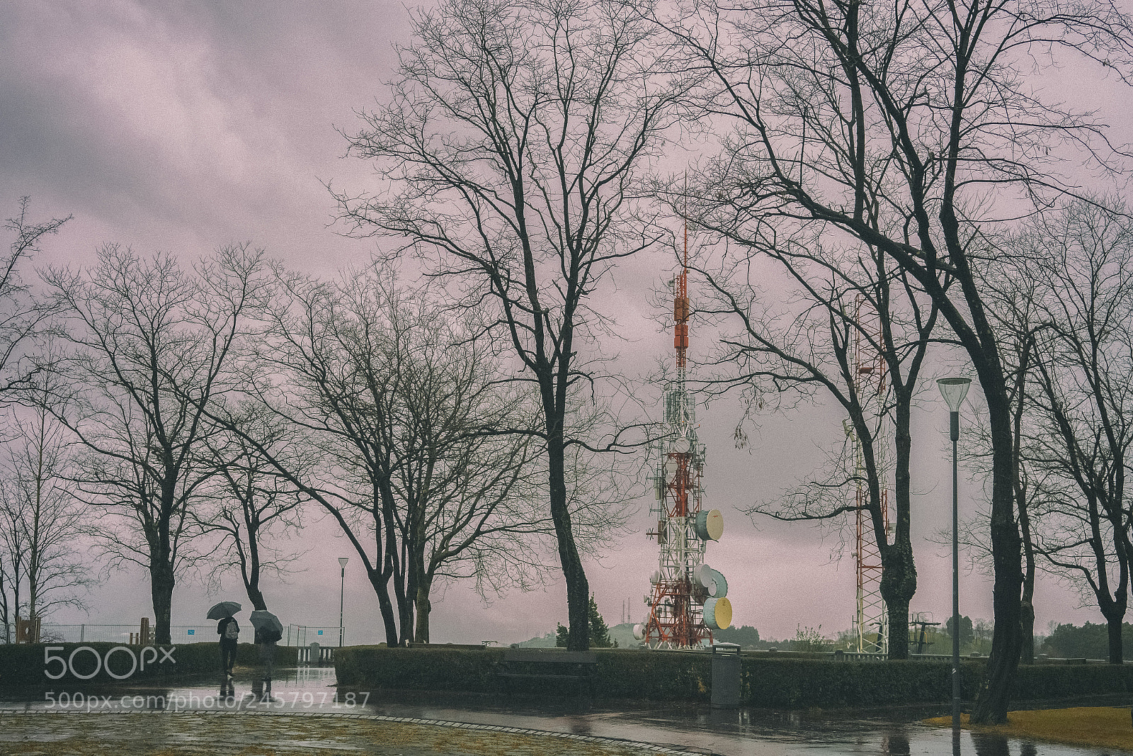 Sony a7 II sample photo. Untitled photography