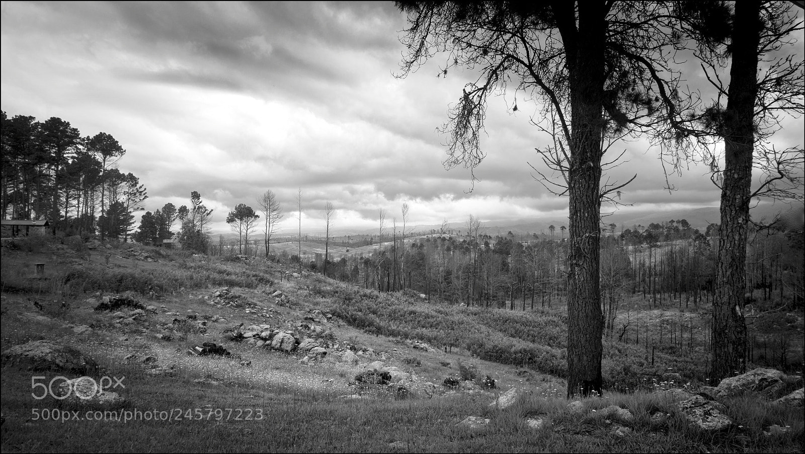 Sony Cyber-shot DSC-RX100 III sample photo. Paisaje de yacanto photography