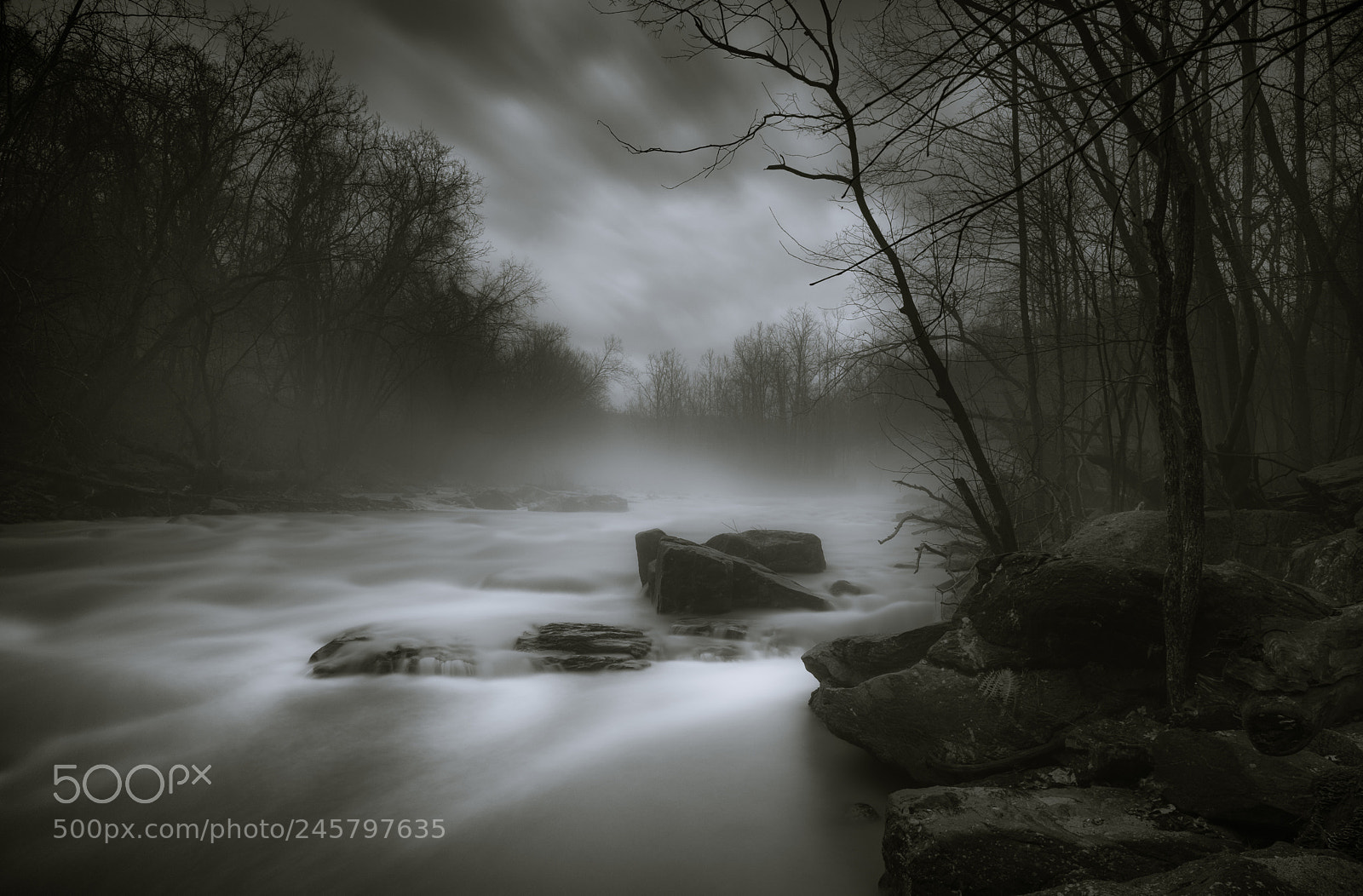 Fujifilm X-Pro2 sample photo. Patapsco fog and flow. photography