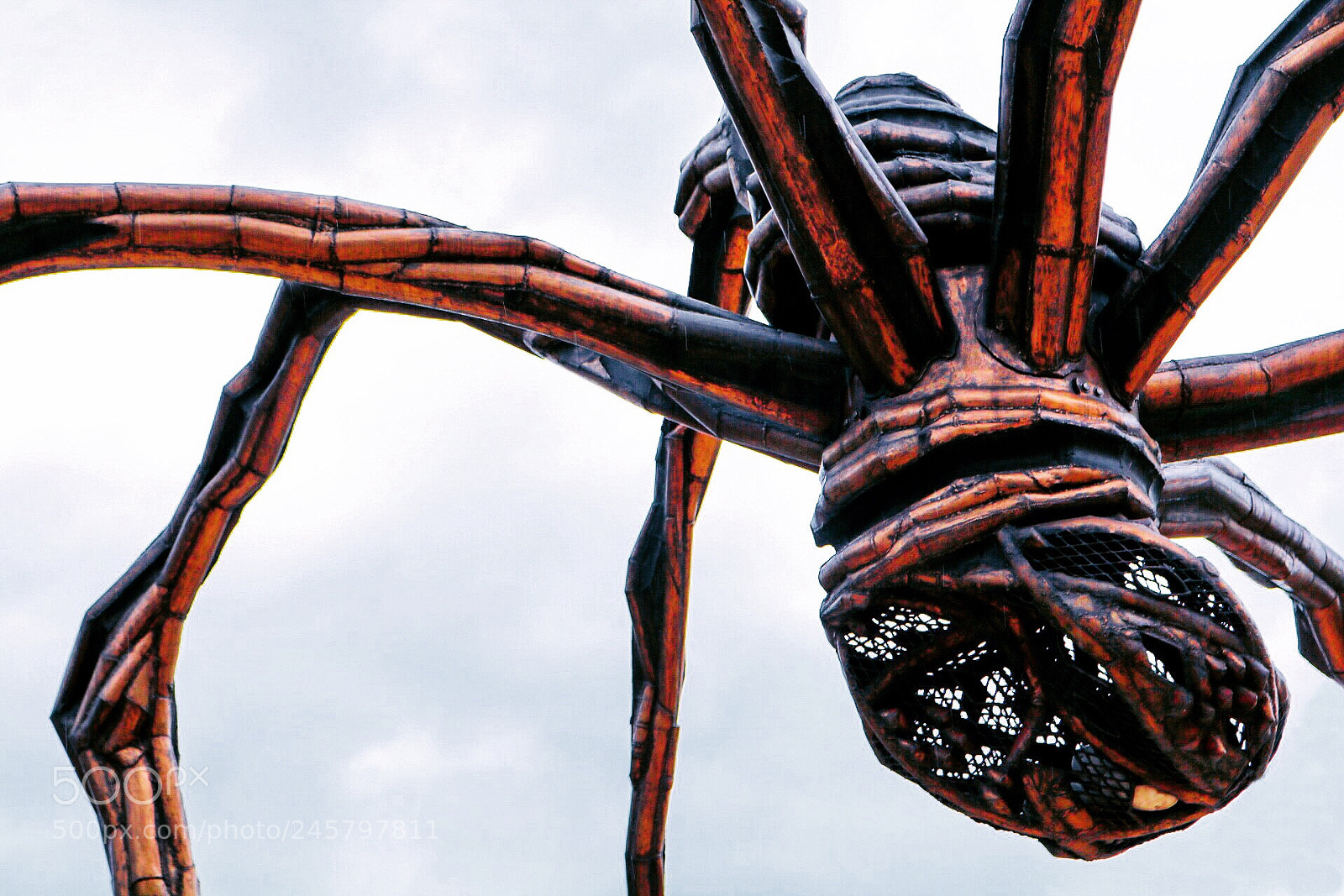 Canon EOS 750D (EOS Rebel T6i / EOS Kiss X8i) sample photo. Spiders photography
