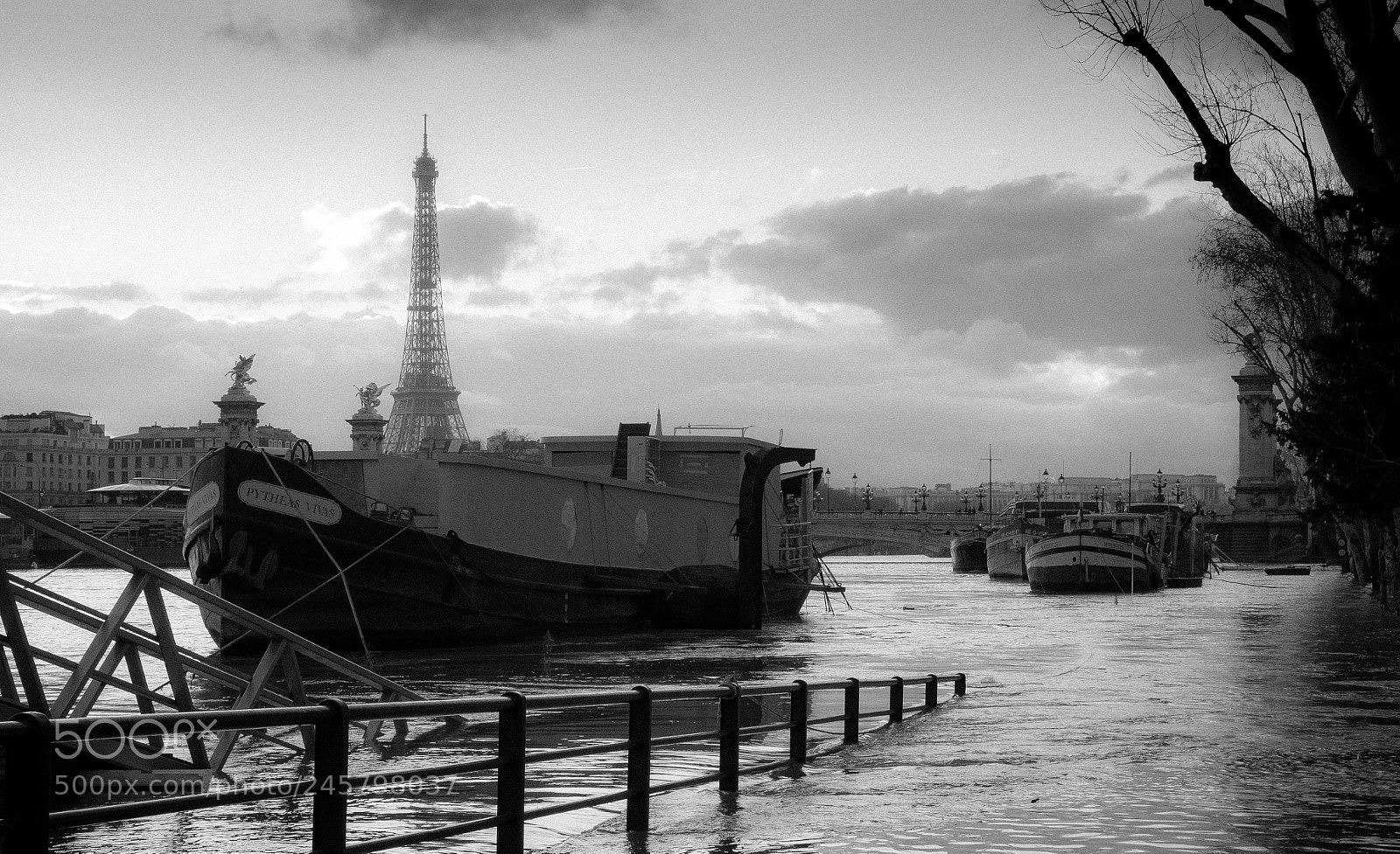 Panasonic Lumix DMC-GX85 (Lumix DMC-GX80 / Lumix DMC-GX7 Mark II) sample photo. Dock underwater photography