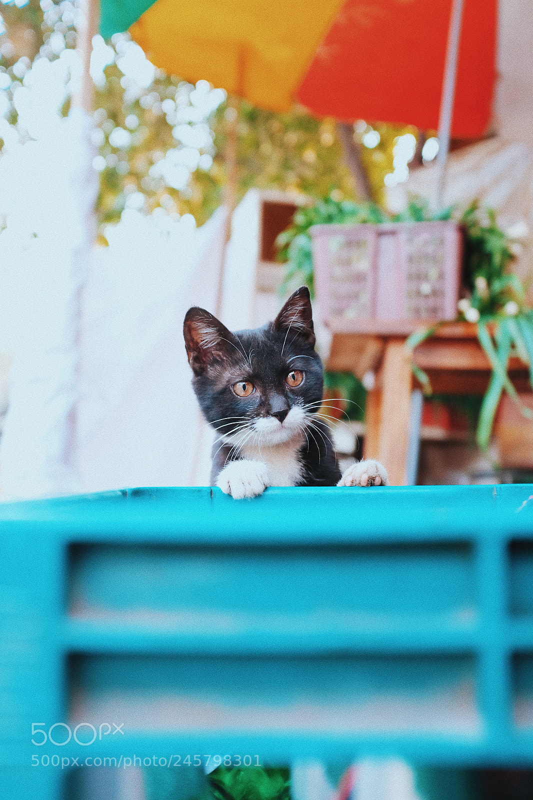 Fujifilm X100T sample photo. Untitled photography
