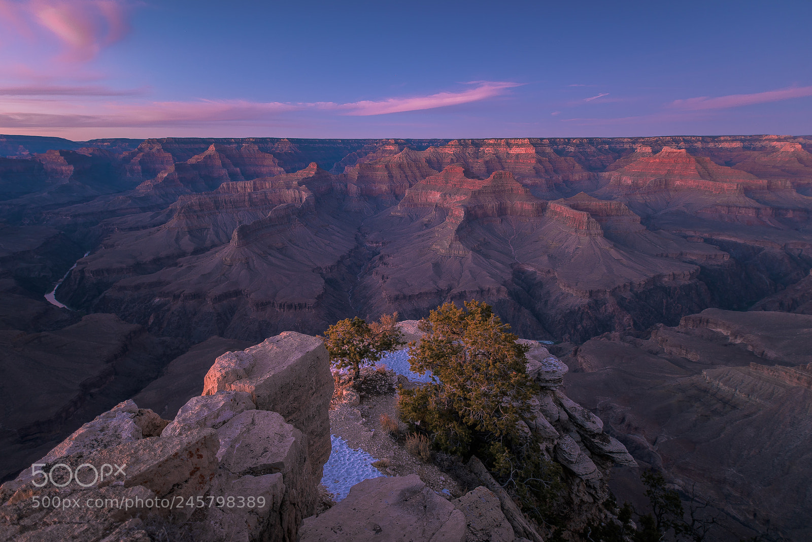 Nikon D810 sample photo. Pima ii photography