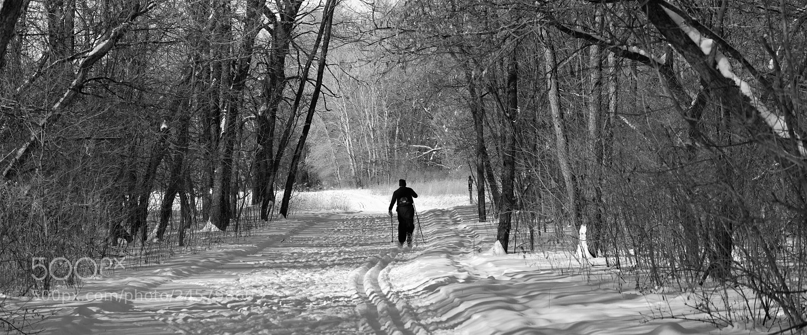 Nikon D7100 sample photo. Skier photography