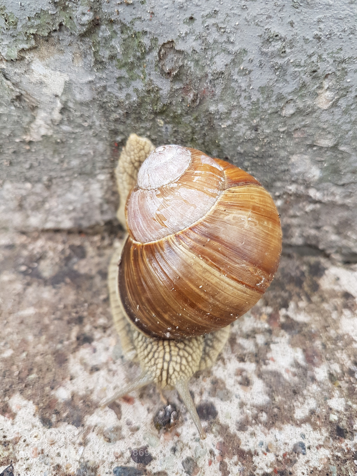 Samsung Galaxy S7 Edge sample photo. Sneal photography