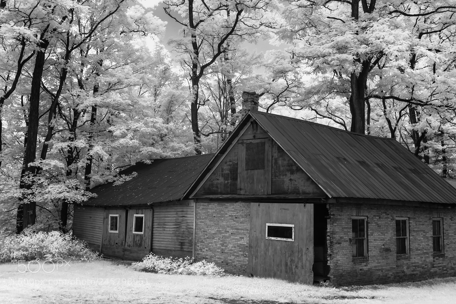 Canon EOS 400D (EOS Digital Rebel XTi / EOS Kiss Digital X) sample photo. Old shed infrared photography