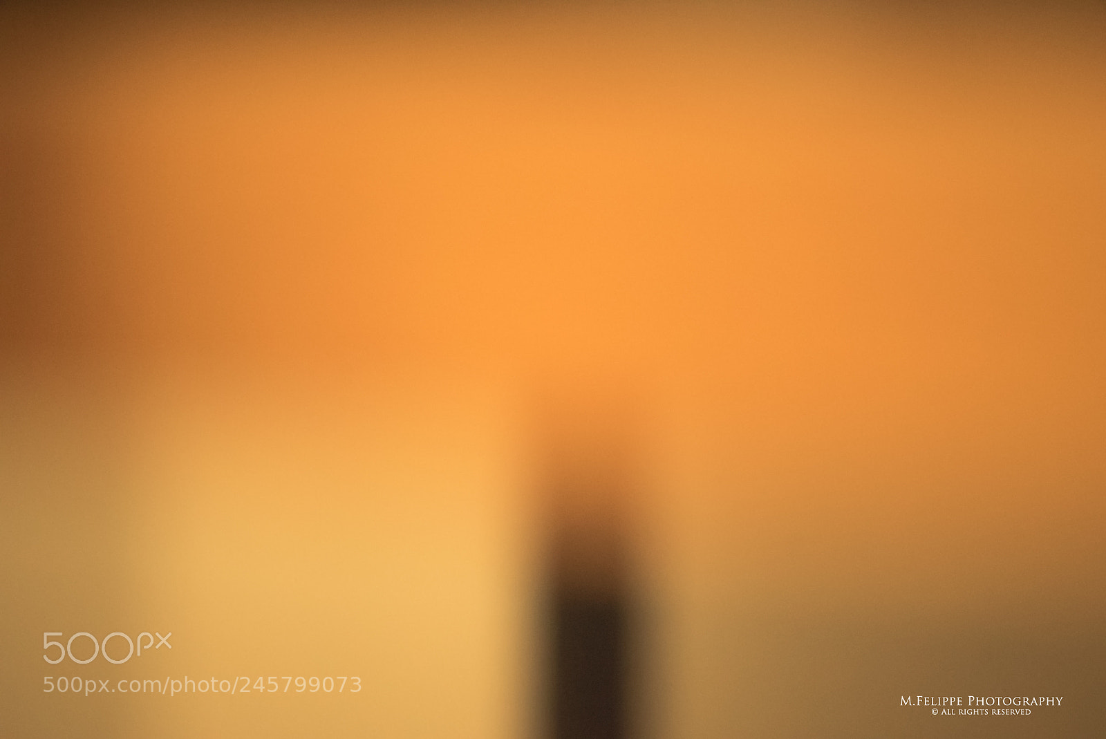 Sony a7S II sample photo. Abstract #1 photography