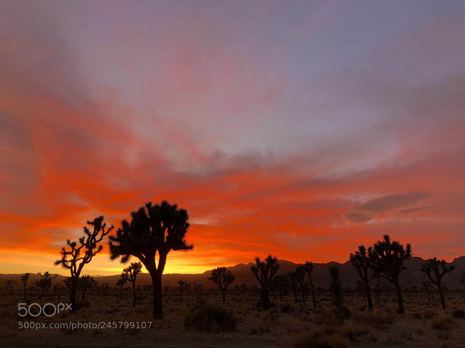 Apple iPhone X sample photo. Red skies over jt photography