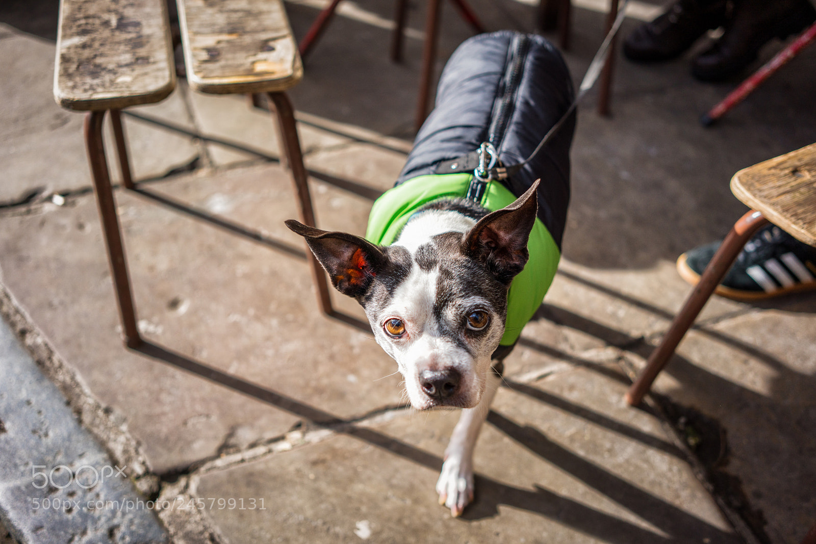 Sony a7R III sample photo. Private investigations photography