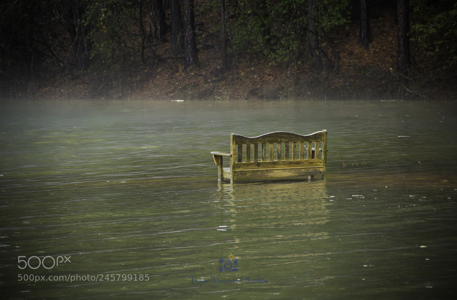 Canon EOS 60D sample photo. Flood waters of kerr photography