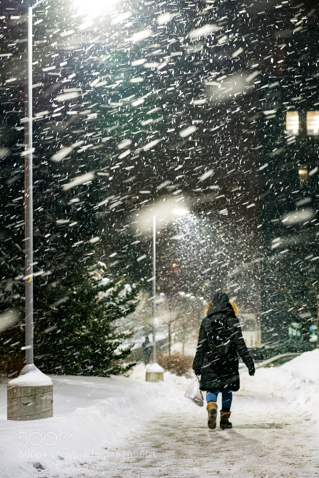Sony a7R II sample photo. Snow day in waterloo photography