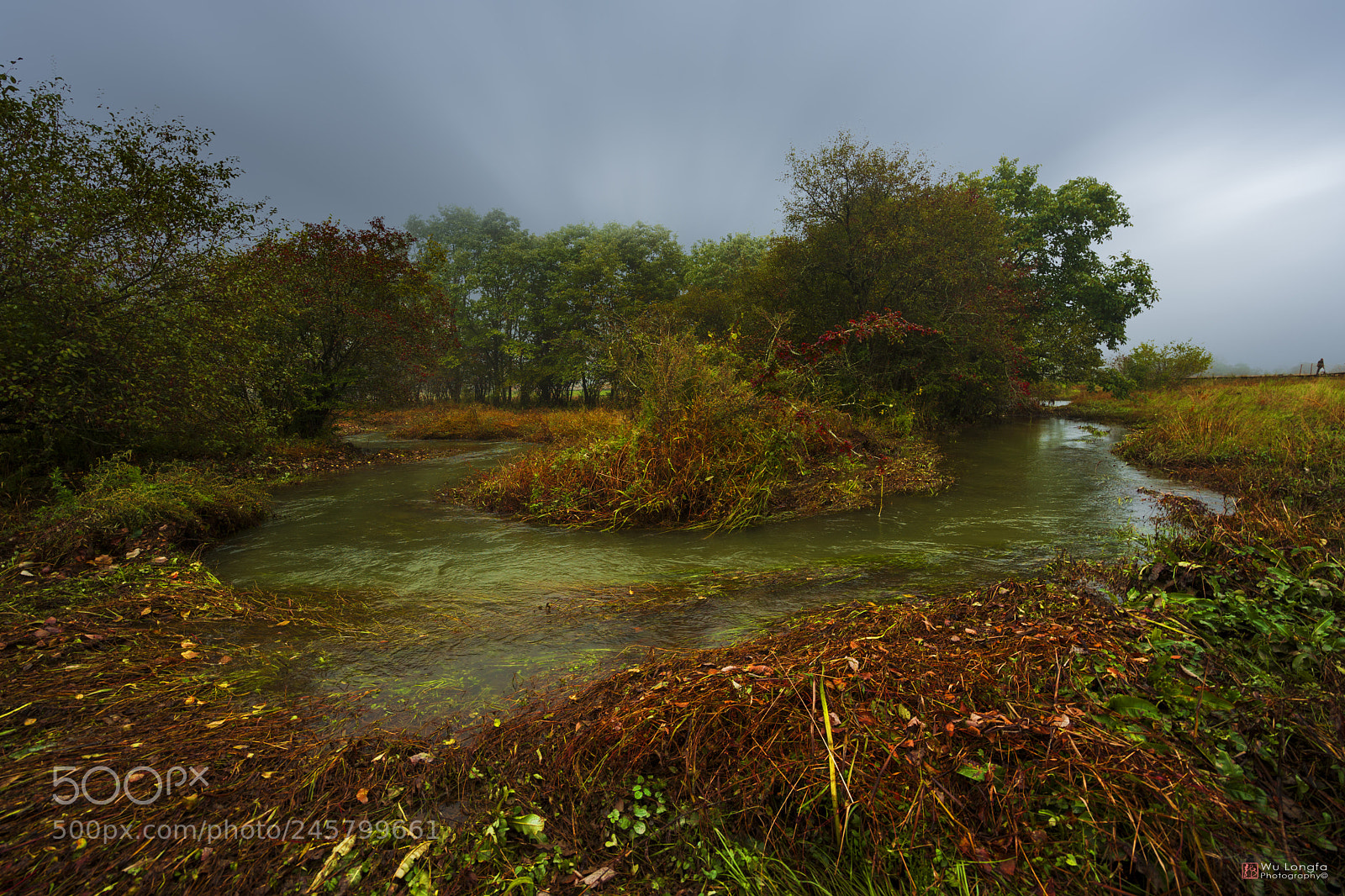 Sony a7 II sample photo. Wetland 湿地 photography