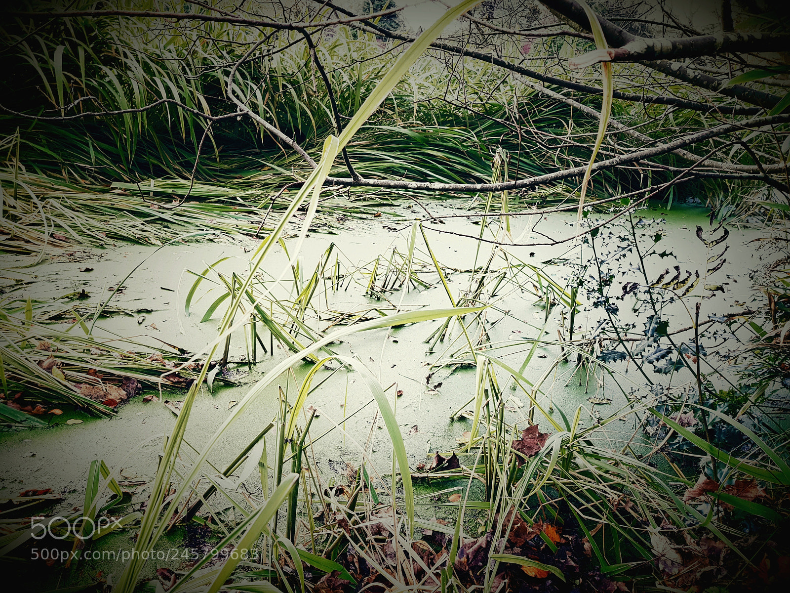 Samsung Galaxy S8 sample photo. Untitled photography