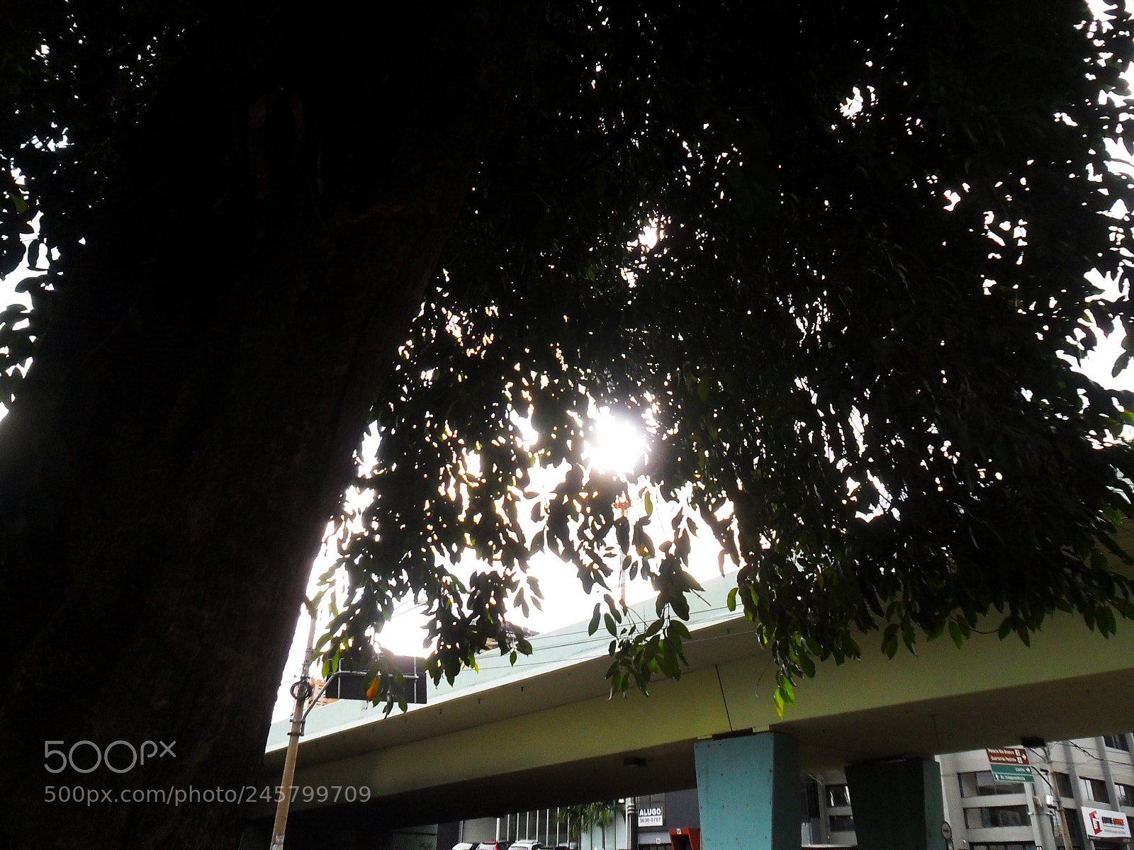 Samsung ES65, ES67 / VLUU ES65, ES67 /  SL50 sample photo. Sombreando photography