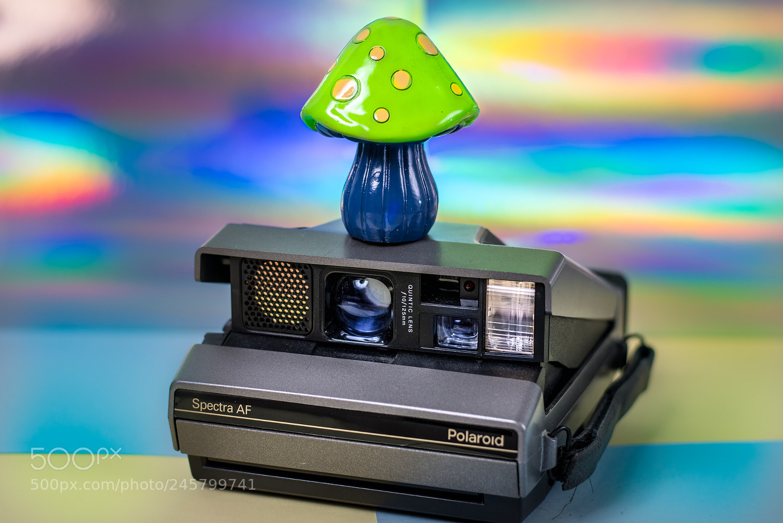 Nikon D500 sample photo. Polaroid photography