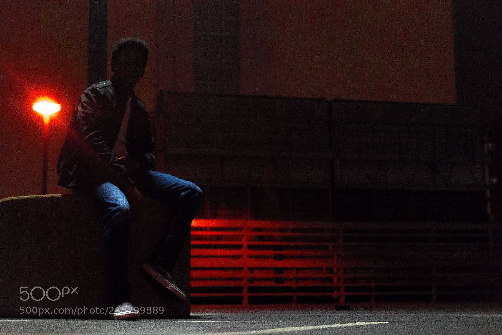 Canon EOS 600D (Rebel EOS T3i / EOS Kiss X5) sample photo. In the dead of photography