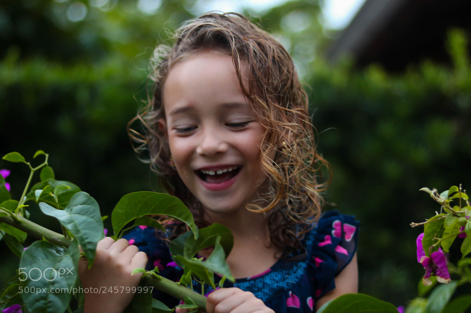 Canon EOS 750D (EOS Rebel T6i / EOS Kiss X8i) sample photo. Aninha photography