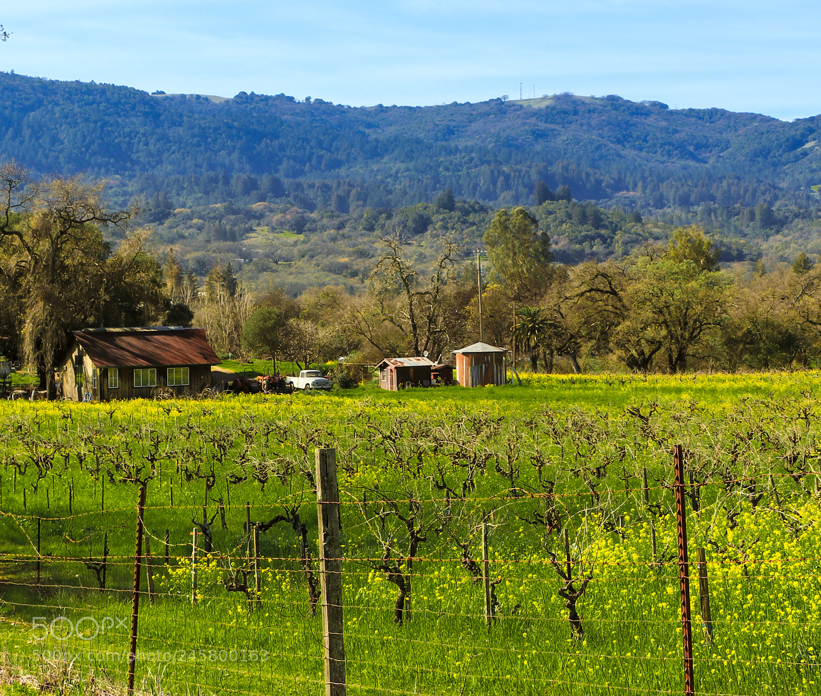 Canon EOS 77D (EOS 9000D / EOS 770D) sample photo. Sonoma homestead photography