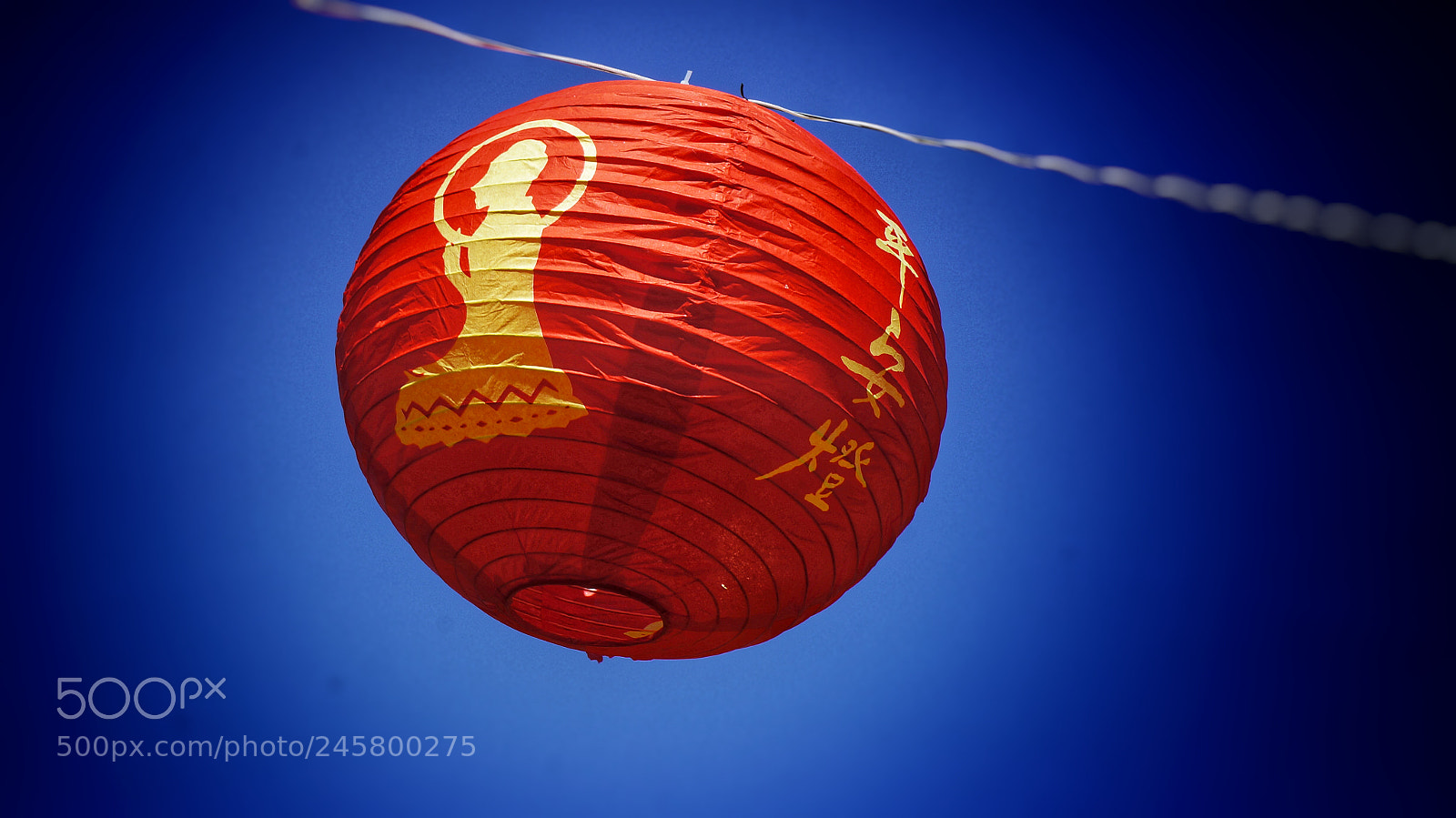 Sony Alpha NEX-5N sample photo. Chinese new year lantern photography