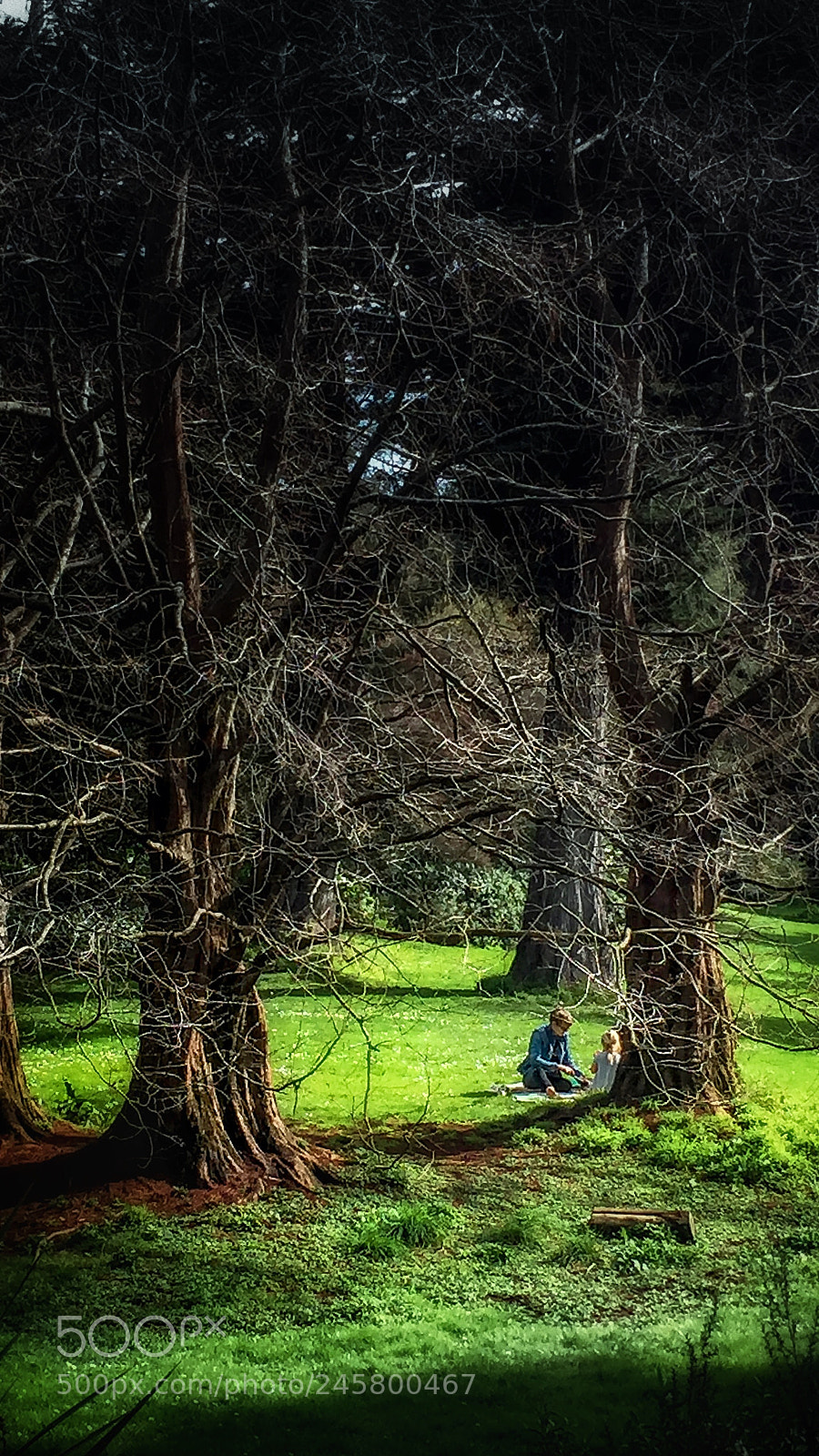 Apple iPhone 6 sample photo. Green spaces photography