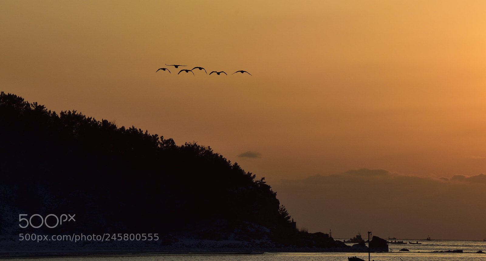 Nikon D810 sample photo. Untitled photography