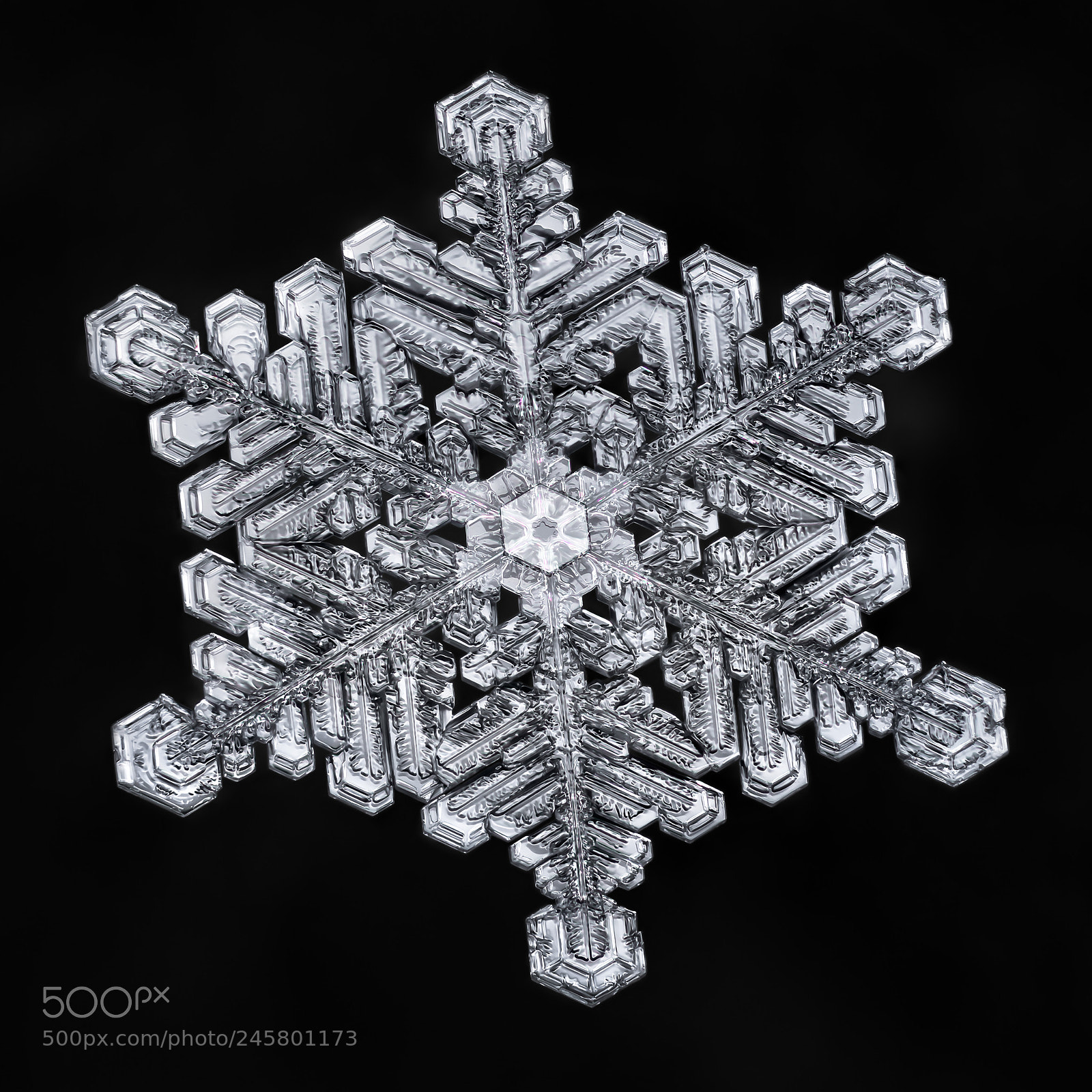 Canon EOS-1D X Mark II sample photo. Snowflake-a-day no. 49 photography