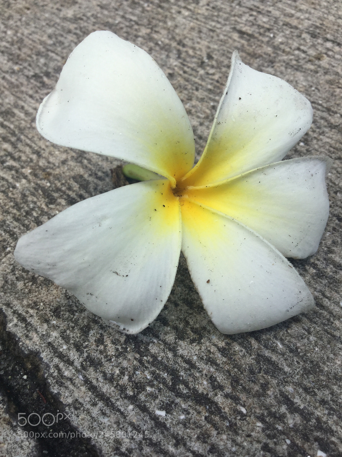 Apple iPod touch sample photo. Aaeaa bb e photography