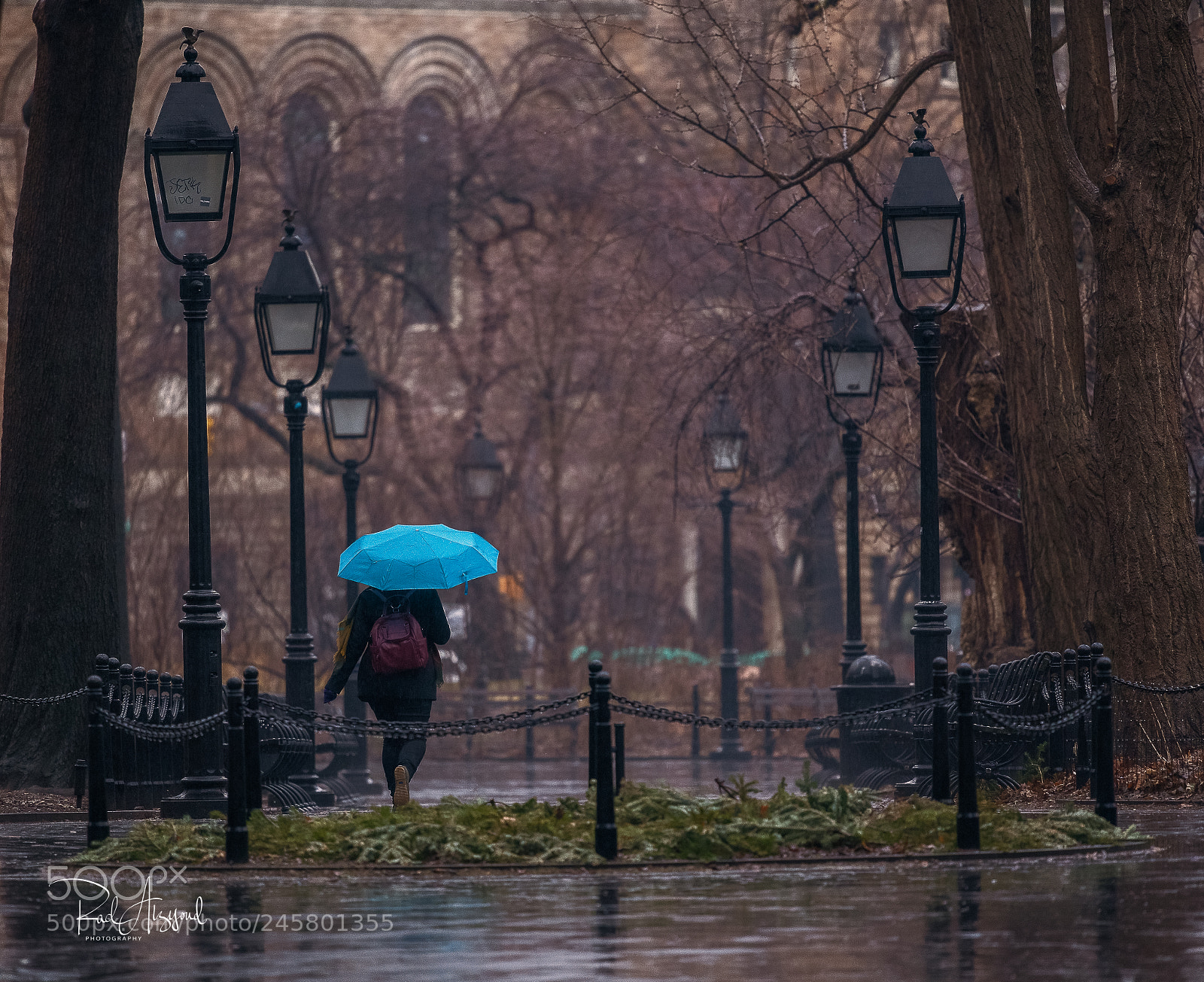 Nikon D850 sample photo. Rainy day photography